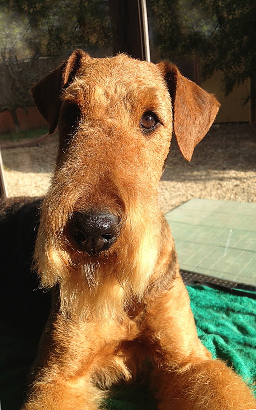 EmmaDopoCremona13 A PER SITO