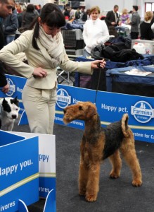 Georgeous Flower Power - Emma n. 2