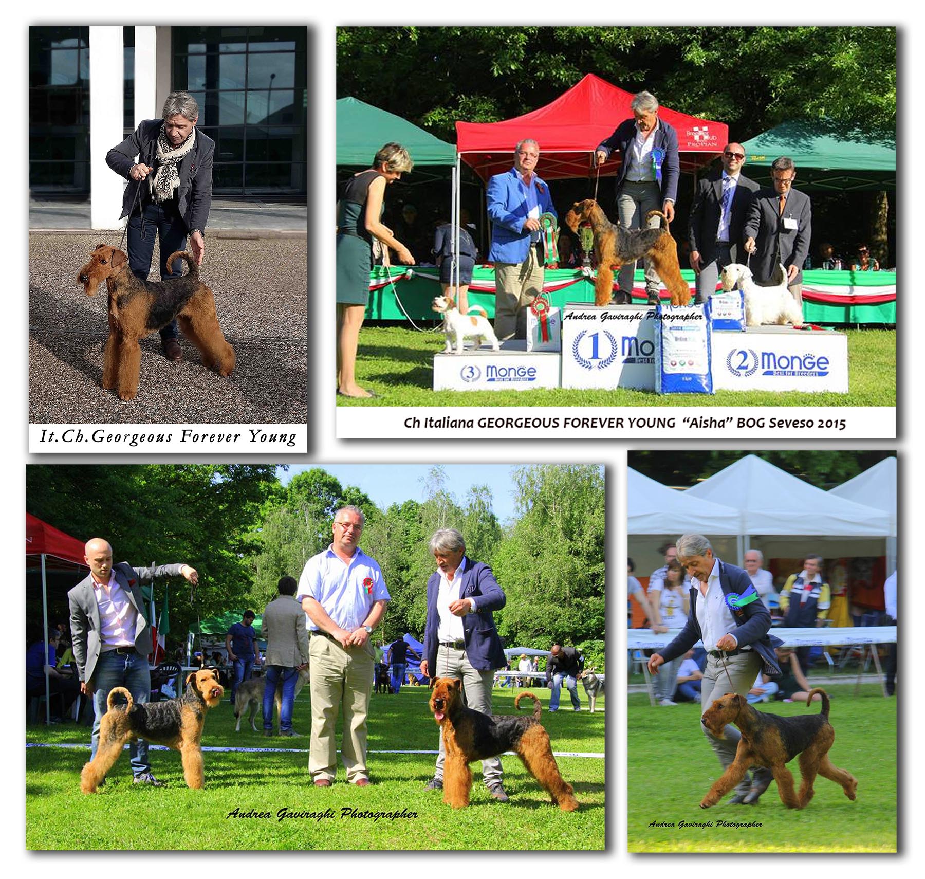 Giusta per sito1 con ombra