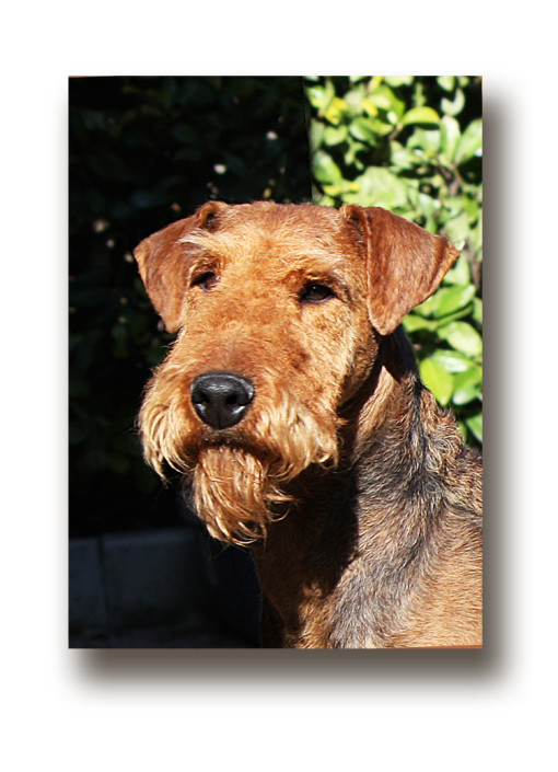 IMG_0630 Grace Sasso Marconi A.O.