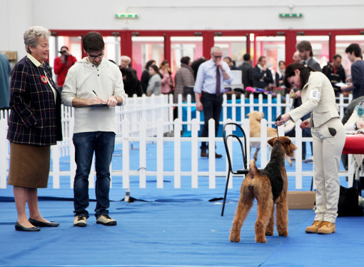 Reggio Emilia Liz Cartledge Emma A