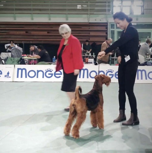 20151108_MIku BOB e CH SIT 2015 1 FB luce