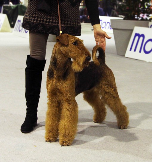 IMG_3693 A1MIKU leggera