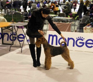 Miku BOB Biella 06.02.16 A leggera