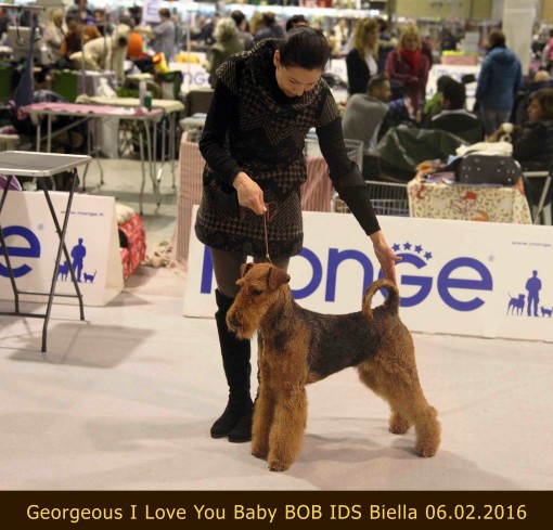 Miku BOB Biella 2016leggera TESTO